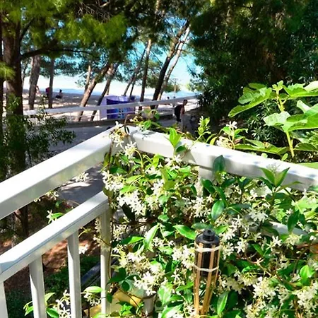 Beachfront Romilda Makarska